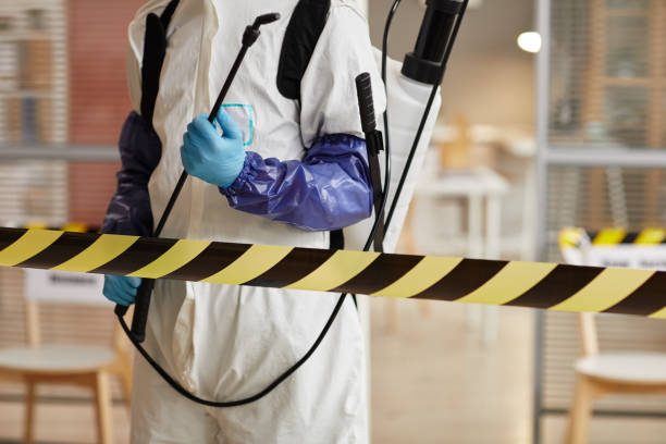 Professional Biohazard technician working in Mount Judea, AR